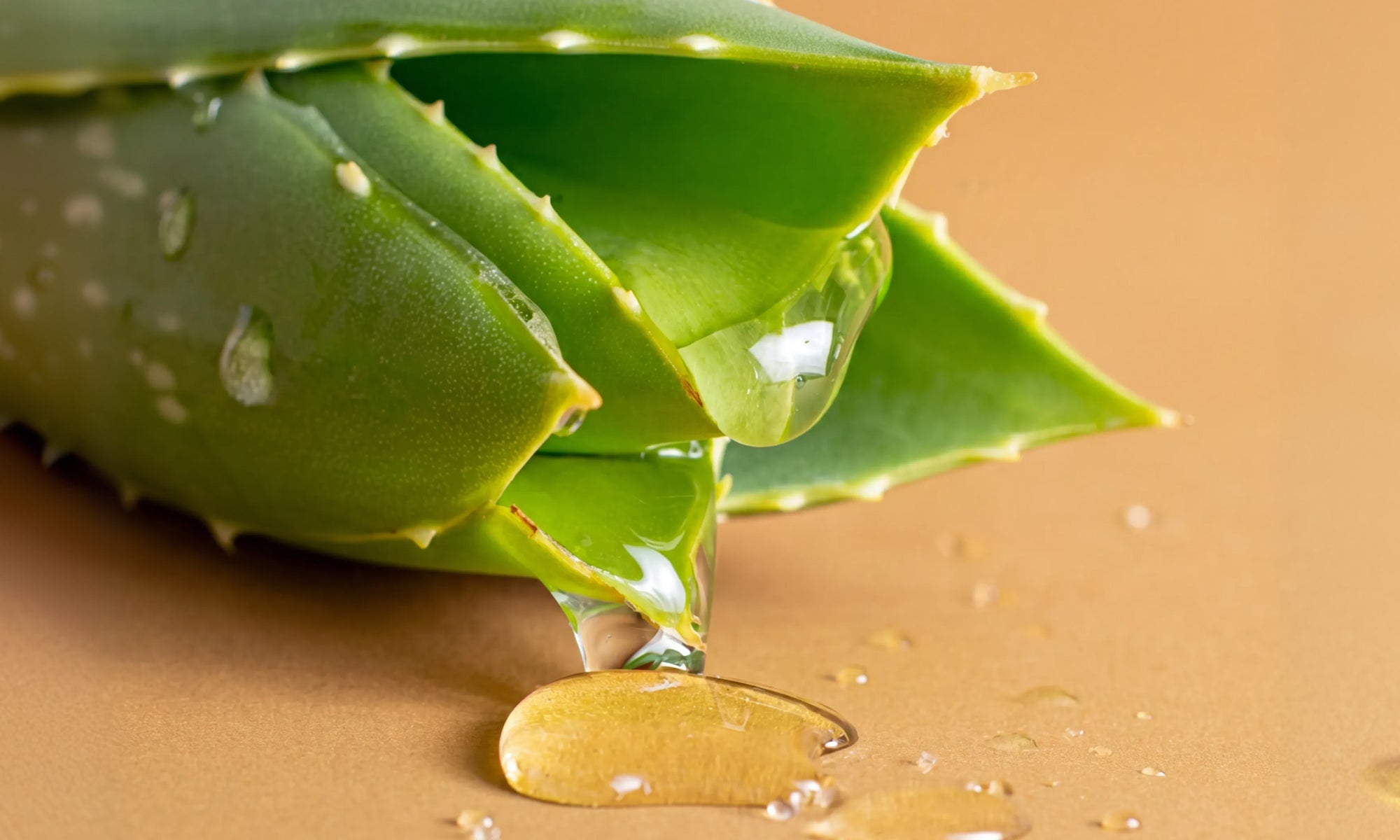 Vegan Self Tanner: How to Spot a Truly Vegan Formula in 2026